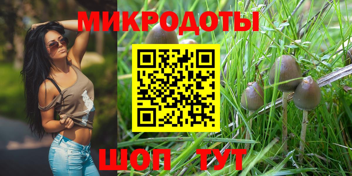 Псилоцибиновые грибы Psilocybine cubensis Нягань
