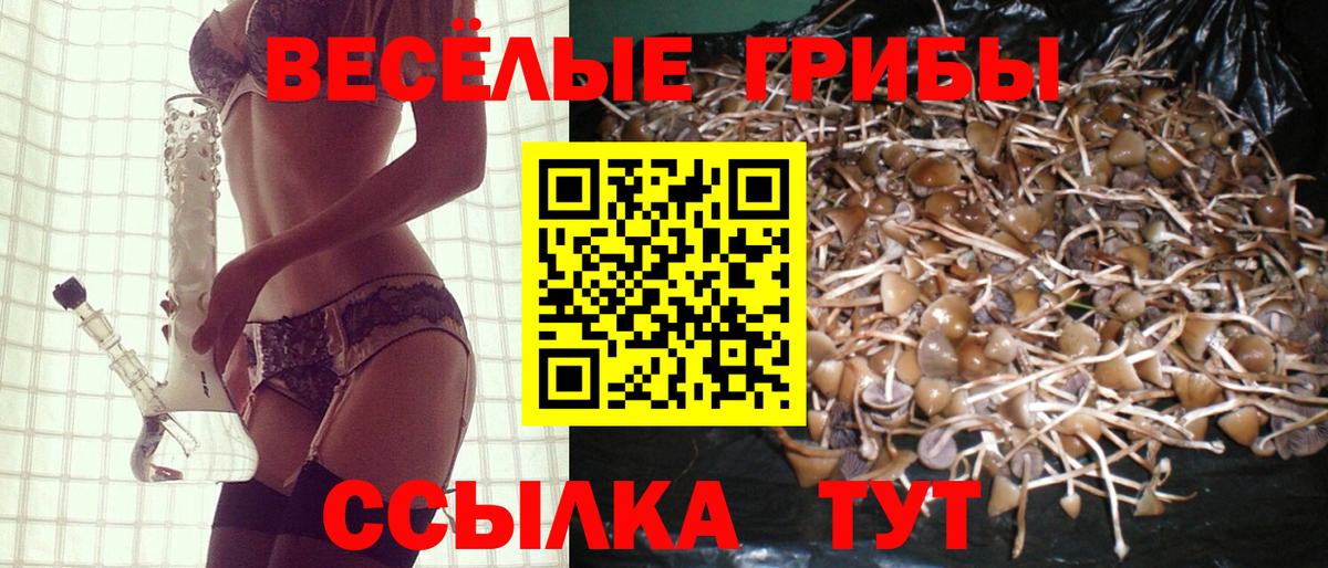 Псилоцибиновые грибы Cubensis  Вход с VPN  Нягань 