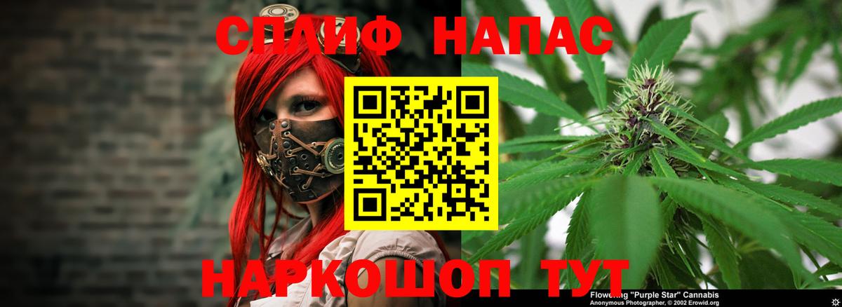 Каннабис планчик Нягань